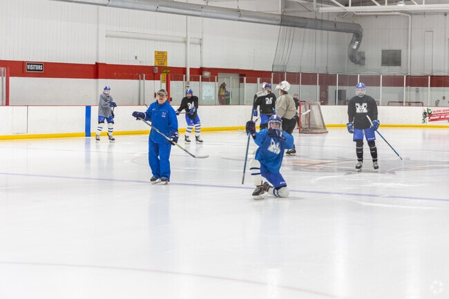 At West Side Arena in Rimmon Heights you can play ice hockey.