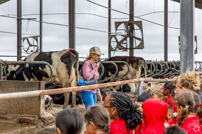 Dakin dairy farm is the biggest in Myakka city producing milk for local & larger stores.
