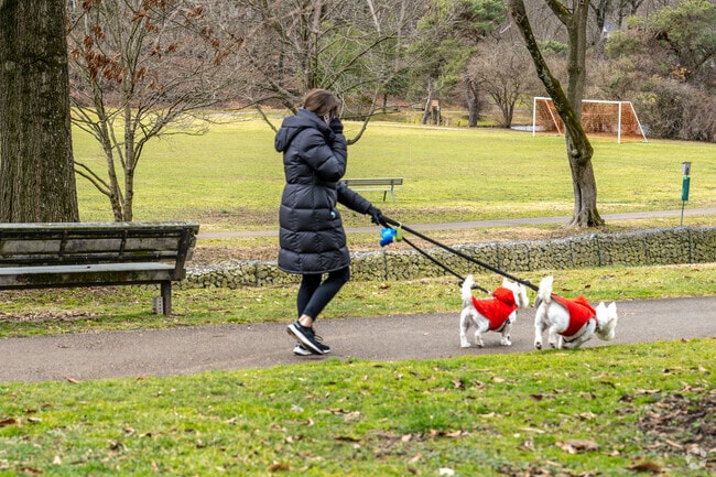 Your four-legged friends will love long walks through Flourtown.