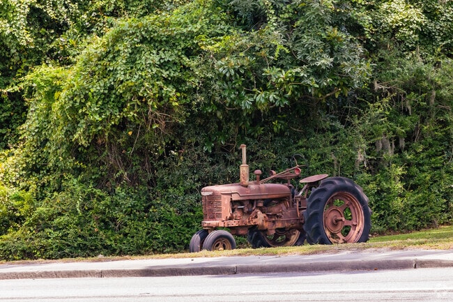 Shell Point is a small, mostly residential community next to Parris Island.