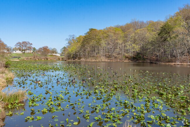Foxhill Park features a beautiful duck pond.