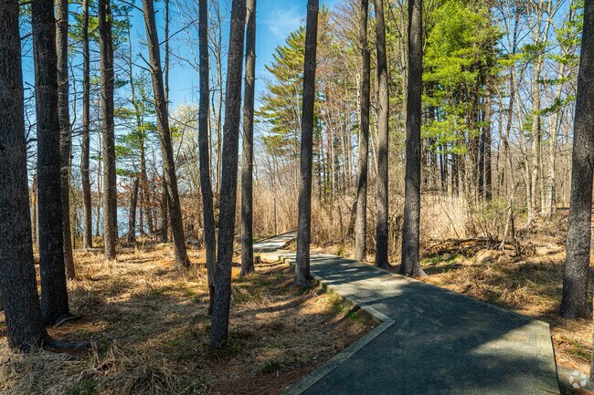 Hiking trails wind through the forest at The Franklin Lakes Nature Preserve.