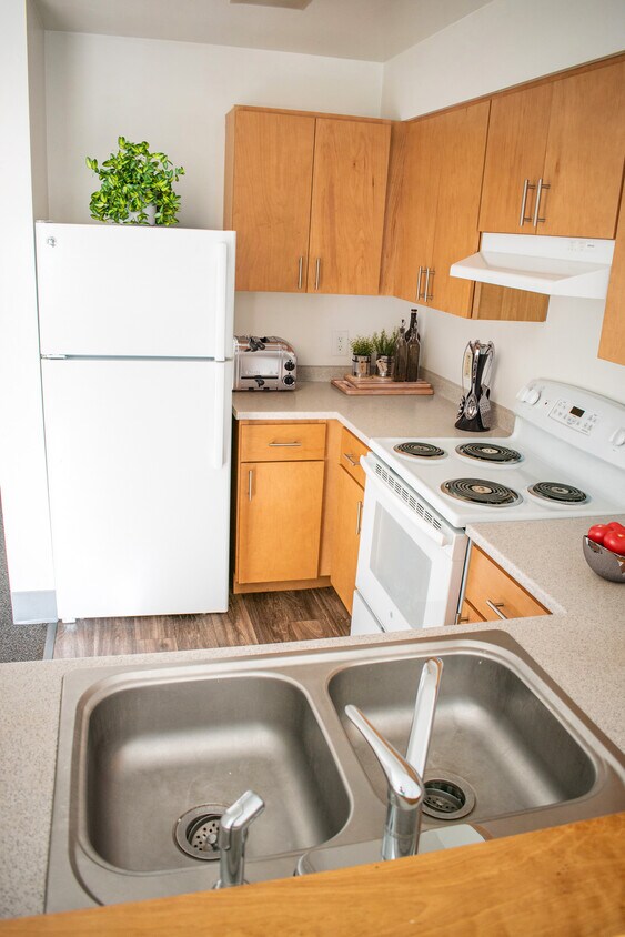 Redstone Commons; Student Housing 500 S Prospect St, Burlington, VT