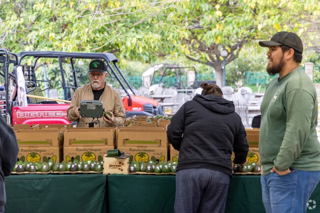 Rosedale residents can enjoy the fresh picked avocados from Rancho Vasques.