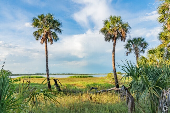 The Myakka River is Florida's first state-designated 