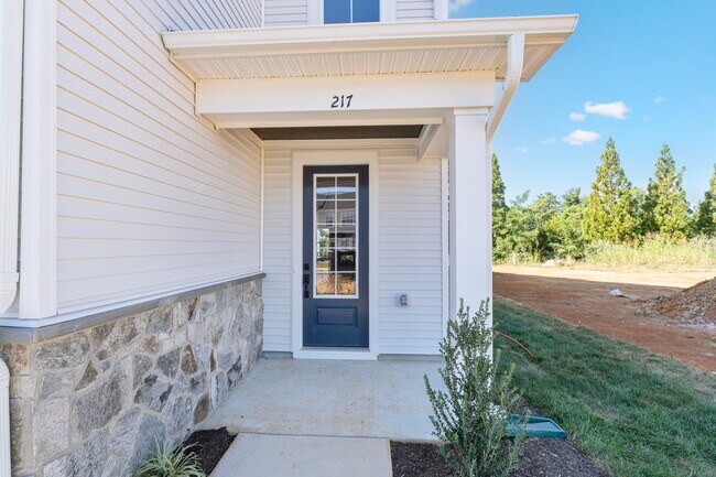 217 Springdale Rd, Waynesboro, VA 22980 - photo 4