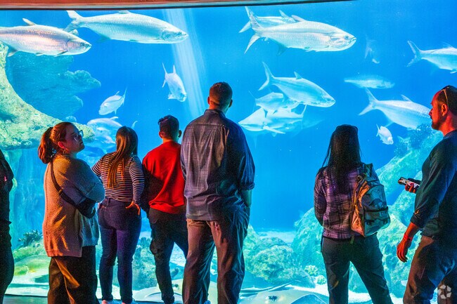 To the west of Pueblo Alto, residents can explore the botanical gardens at the Albuquerque BioPark.