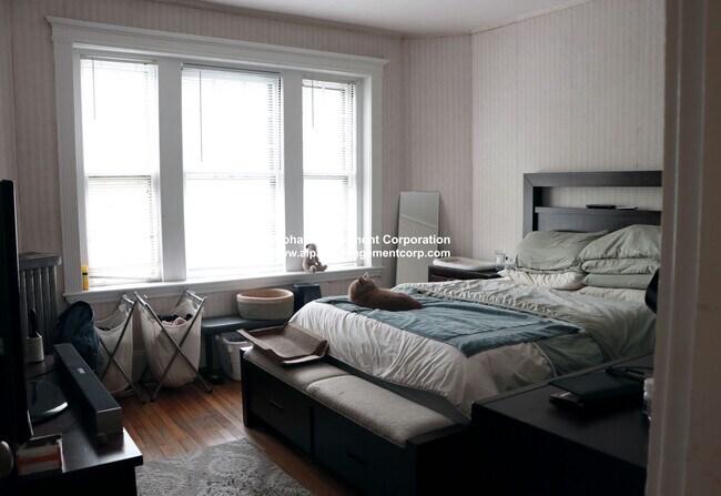 73 Longwood Ave unit 2R, Brookline, MA 02446 - photo 6