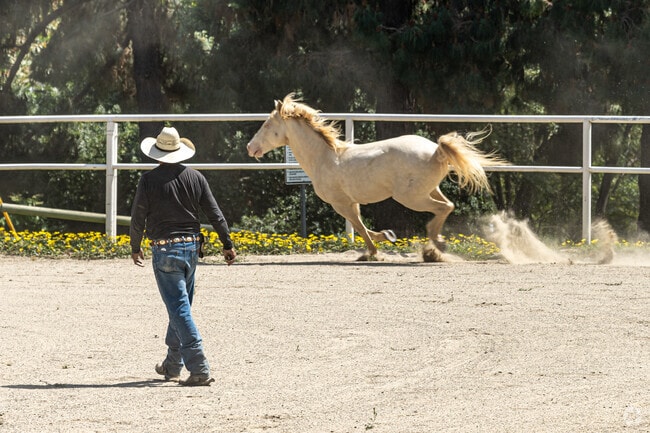 The park in La Habra Heights offers equestrian access and riding facilities.