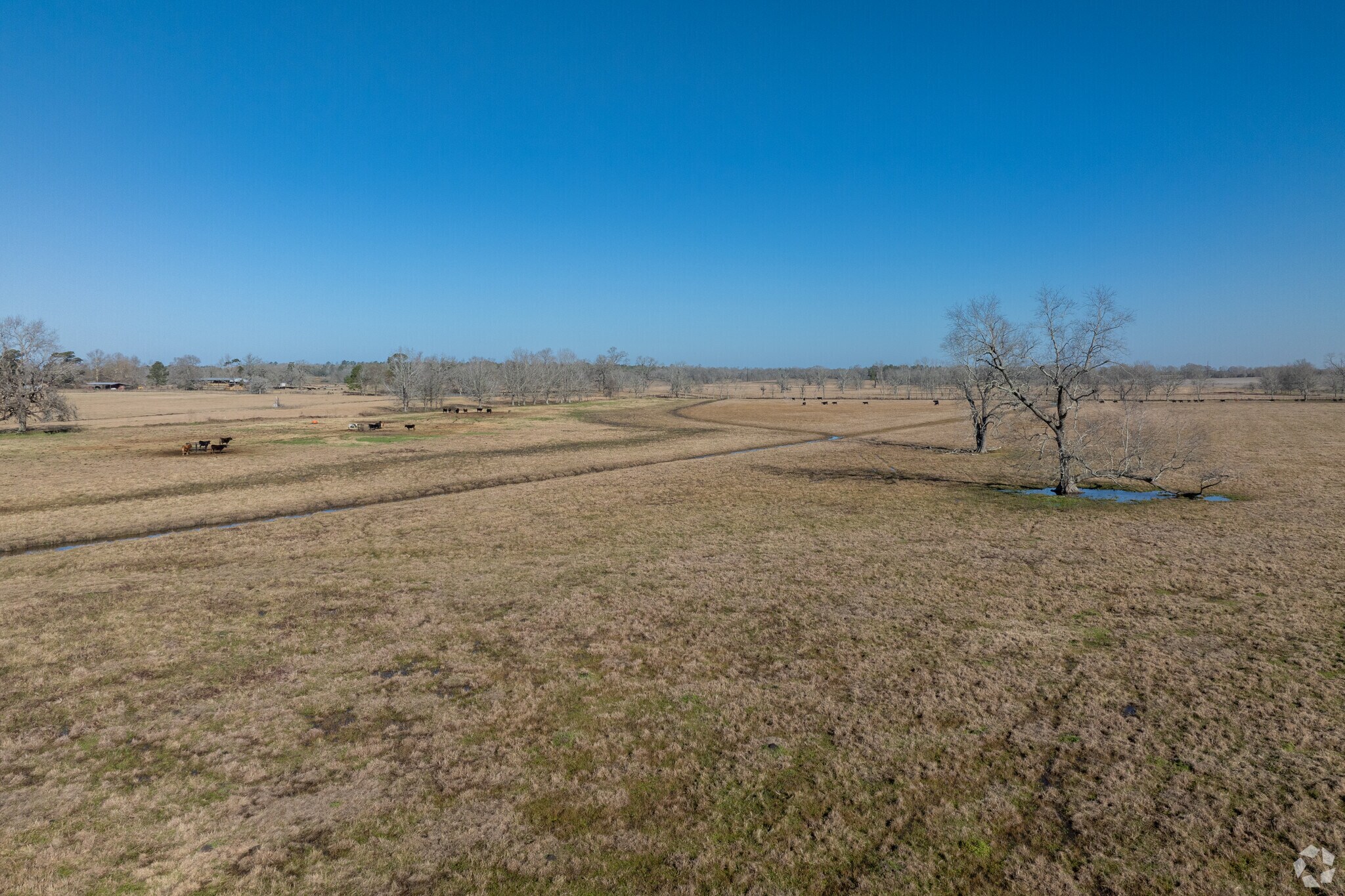Farmland and acreage are common sights in West Livingston.