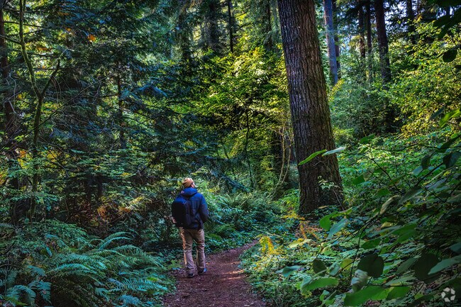 The area around Black Lake  features a hiking trial and picnic area.