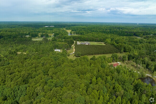 Burnetts Chapel/Coltrane Mill is covered with lush forest and farmland.