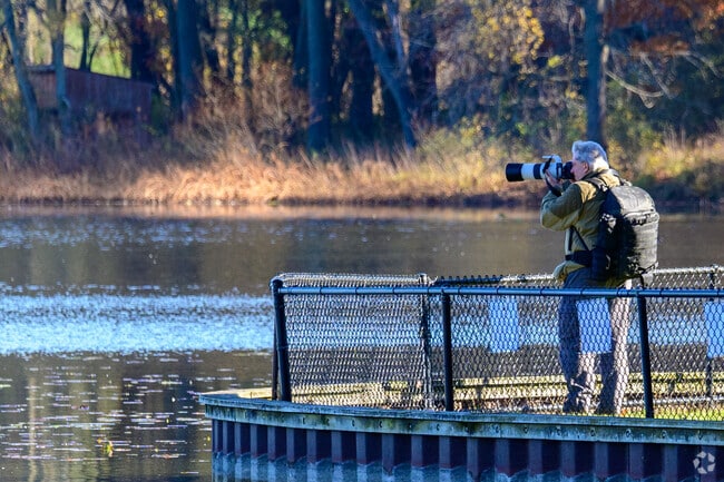 The Kellogg Bird Sanctuary is a great place for bird photographers near South Gull Lake.