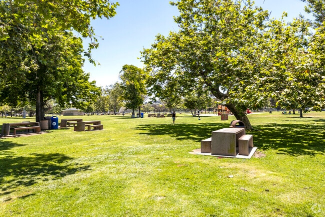 Picnic tables under shade in the Rohr Park.