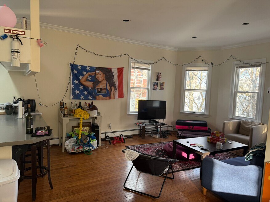 17 Parker Hill Ave unit 3, Roxbury Crossing, MA 02120 - photo 1