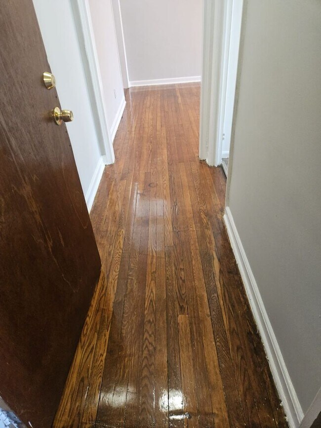 Newly Renovated Apt Across from City Hall, Irvington, NJ 07111 - photo 6