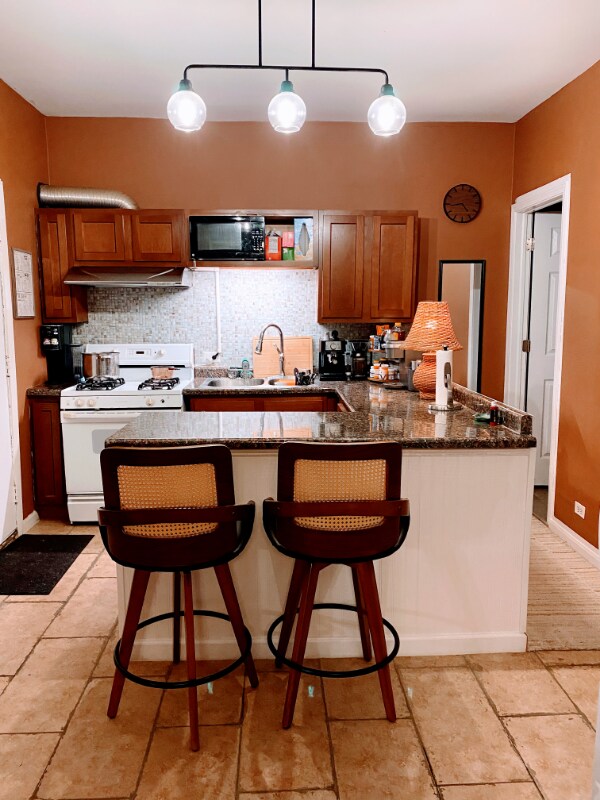 2906 S Wells St unit 1F, Chicago, IL 60616 - photo 7