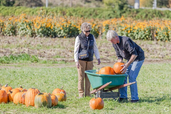 Schilters Farm offers a fall festival every October of the year in Lacey WA area.