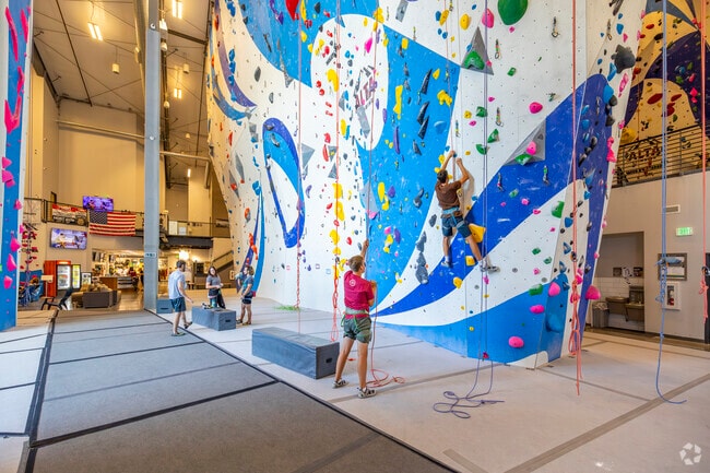 Just minutes from Chandler Heights Citrus, Alta Climbing and Fitness blends climbing challenges with full-body workouts in a modern, energetic setting.