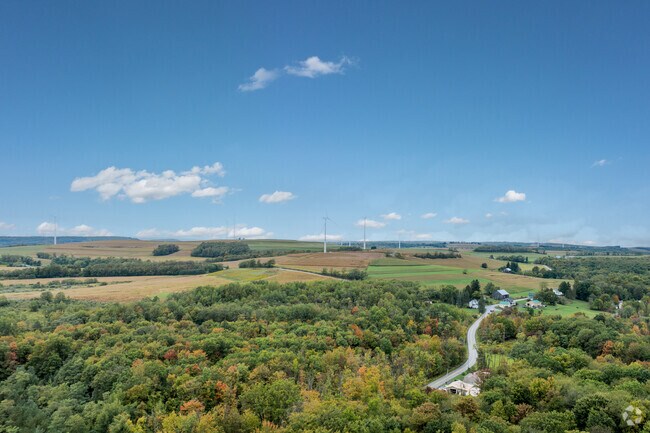 East Carroll is a rural neighborhood with plenty of greenery.