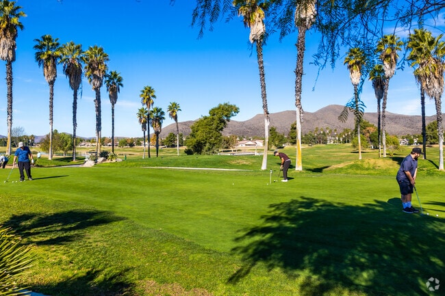 A friendly game of golf in the scenic Sun City landscape.