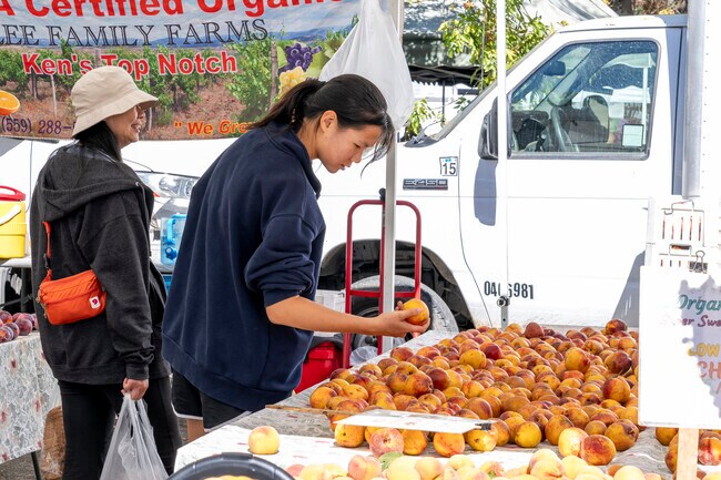 The Saratoga West Valley Farmers Market offers fresh fruits.