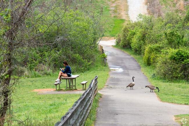 William B. Umstead State Park is surrounded by nature near the Brookhaven neighborhood.