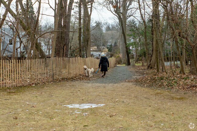 Drake Road Park is perfect for a walk with your pet in Edgewood.