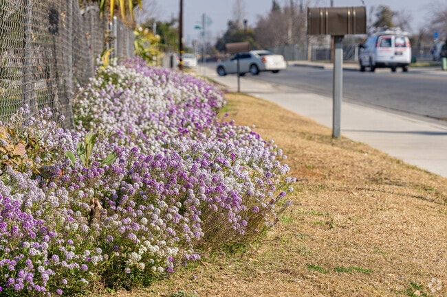 Lavender and white blossoms add color and beauty to the Lakeview neighborhood.