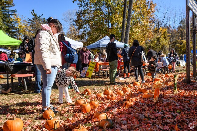 Nanuet's annual Fall Festival is a fun family event with tons of vendors and activities.