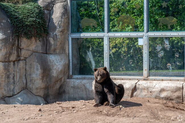 The Lake Superior Zoo near Norton Park has large enclosures for viewing animals.