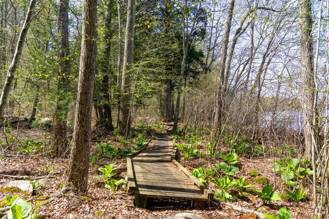 The James L. Goodwin State Forest in Hampton spans over 2,000 acres with extensive hiking trails.