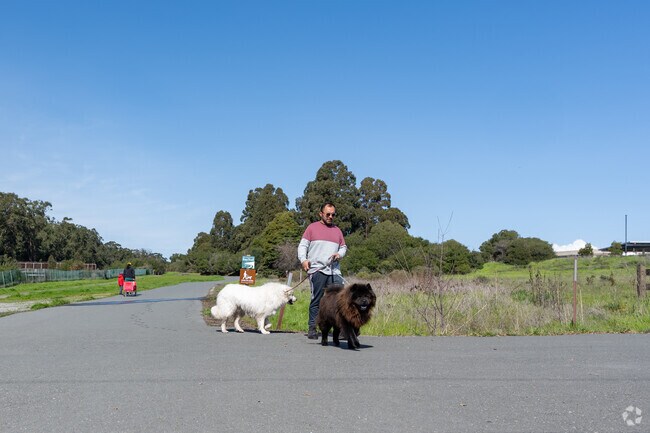 Fairmede-Hilltop enjoy walking their dogs at nearby Point Pinole Regional Park.