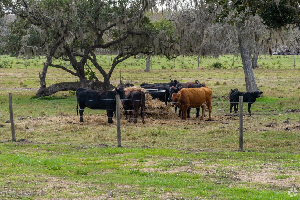 Neighborhood_Sweeny_121323_Final