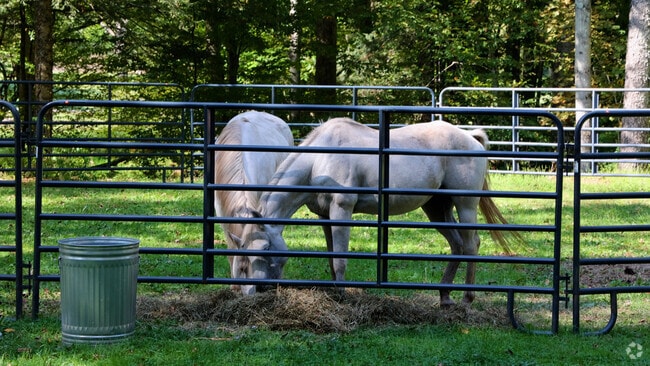 NH_Lewis_558506_P2_v1_TN_101124