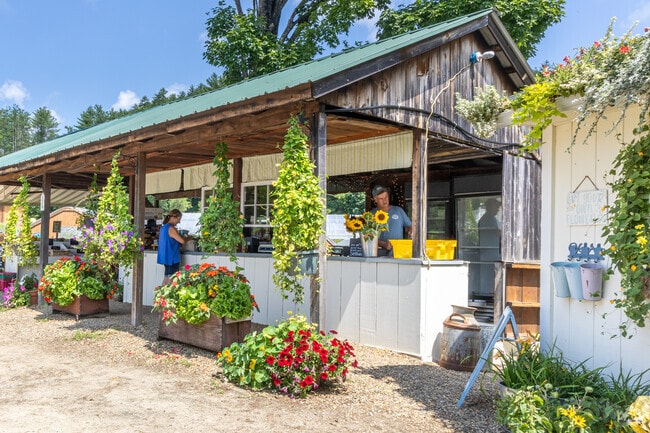 Walkers Farm sells fresh local flowers to Hill locals.