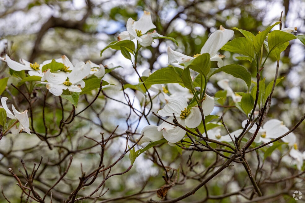 East Monfort Heights