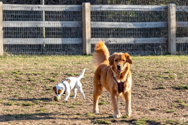 Let the dogs play around at the fenced in Croft Farm Dog Park.