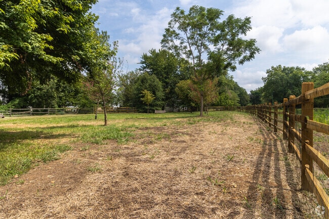 Roslyn dog owners can take their pets to Grove Park Dog Run.