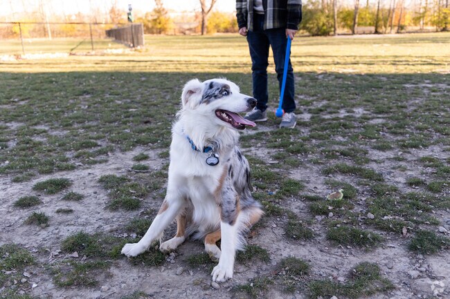 Middlegrounds Metropark in Downtown Toledo is home to a lovely dog park for your furry friends.