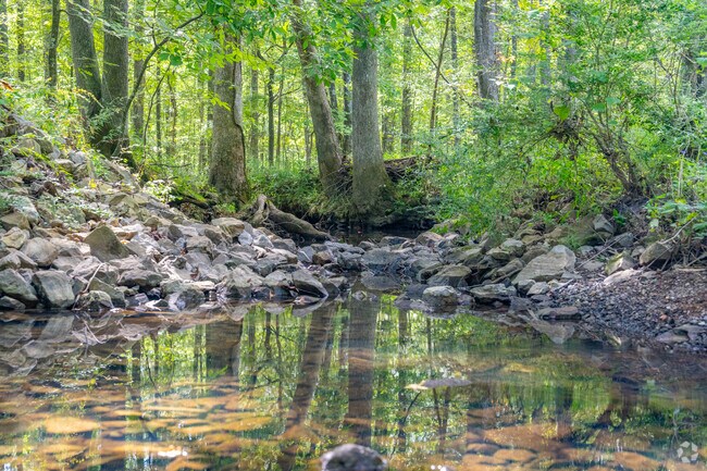 Bradford Creek runs through Burgreen Gin.