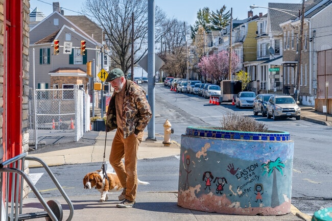 Locals walk their dogs on the safe streets of West Ward near Easton.