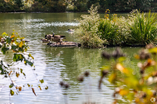 MLK Jr. Park is a great place to see some wildlife.