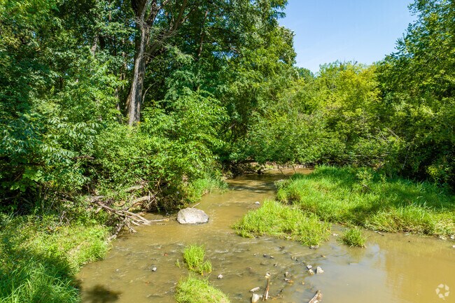 Thorn Creek runs right through the Country Club neighborhood and much of Chicago Heights.