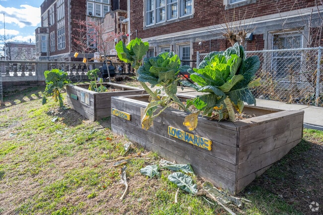 Bruce-Monroe Elementary School @ Park View in Washington, DC.