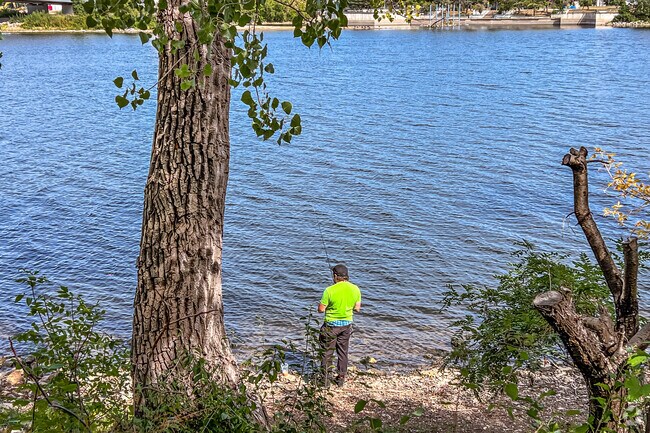 Bring your fishing pole and bait along and enjoy the day fishing along the Mississippi River.