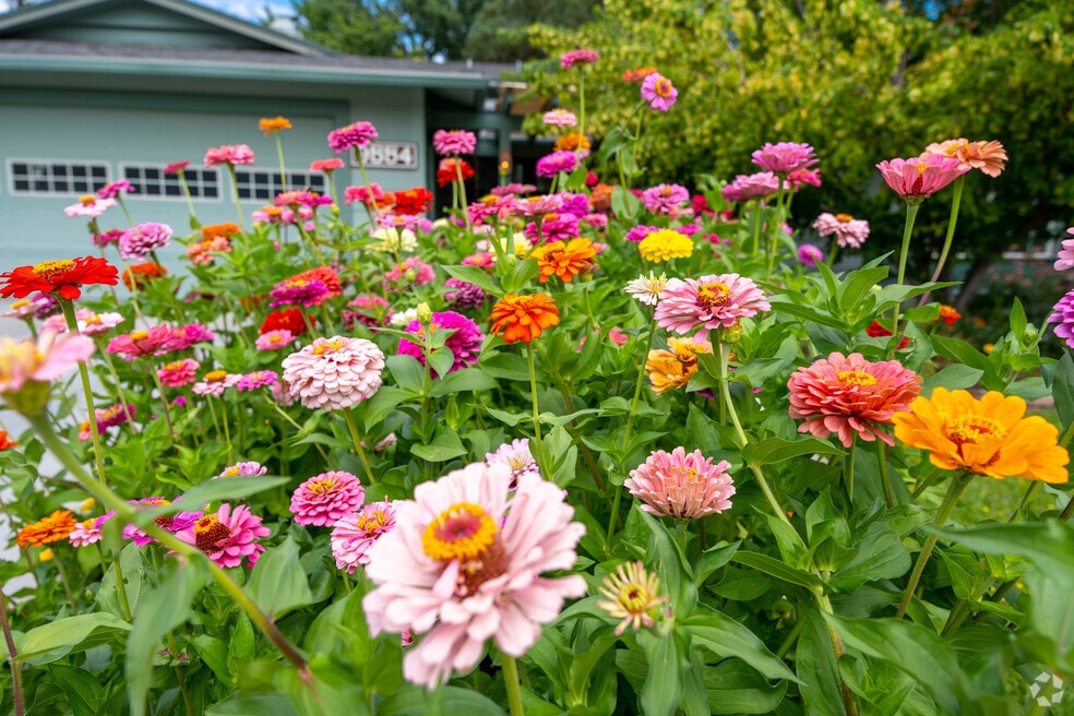 WestBoise_520713_MG_102125_V1