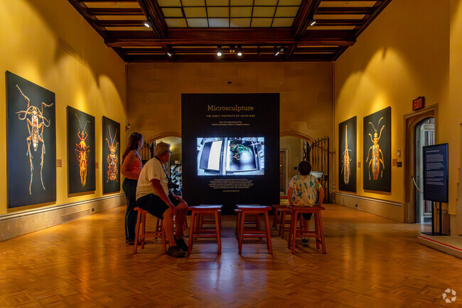 Visitors enjoy The Insect Portraits of Levon Biss at The Paine Art Center & Gardens.