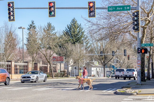 Taking the pup for a walk in the Highland Park area of West Seattle.