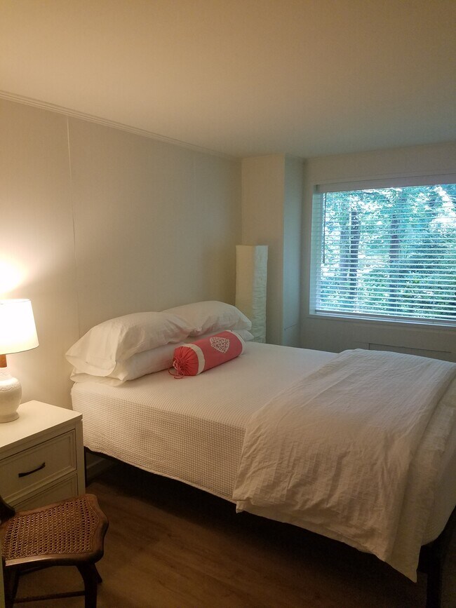 161 Melrose Ave unit 1, Tryon, NC 28782 - photo 6